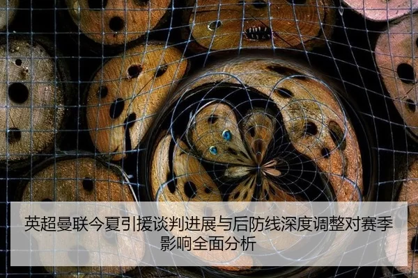 英超曼联今夏引援谈判进展与后防线深度调整对赛季影响全面分析