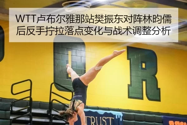 WTT卢布尔雅那站樊振东对阵林昀儒后反手拧拉落点变化与战术调整分析